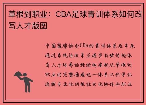 草根到职业：CBA足球青训体系如何改写人才版图