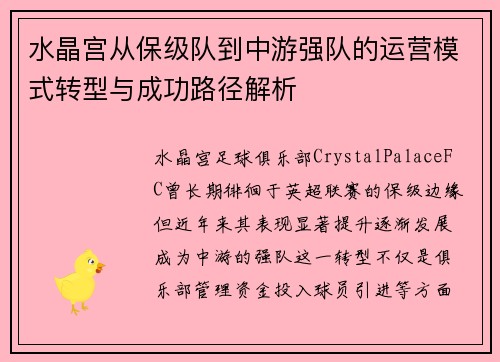 水晶宫从保级队到中游强队的运营模式转型与成功路径解析