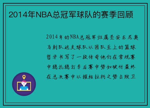 2014年NBA总冠军球队的赛季回顾
