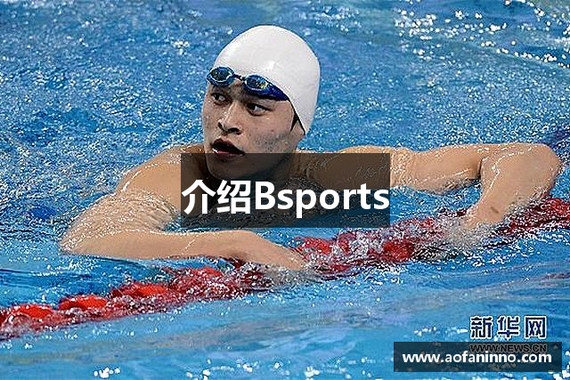 介绍Bsports